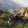 Joana