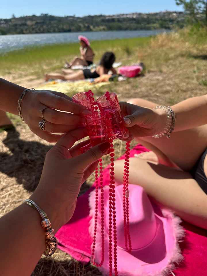 Despedida de Solteira ❤️ - 5
