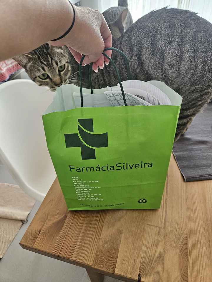 Consulta do Viajante - Punta Cana - 1