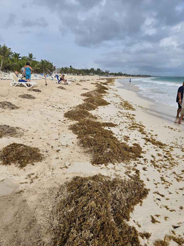 a Nossa Lua de Mel - Punta Cana - 10