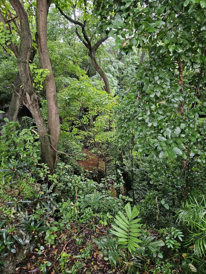 a Nossa Lua de Mel - Punta Cana - 22