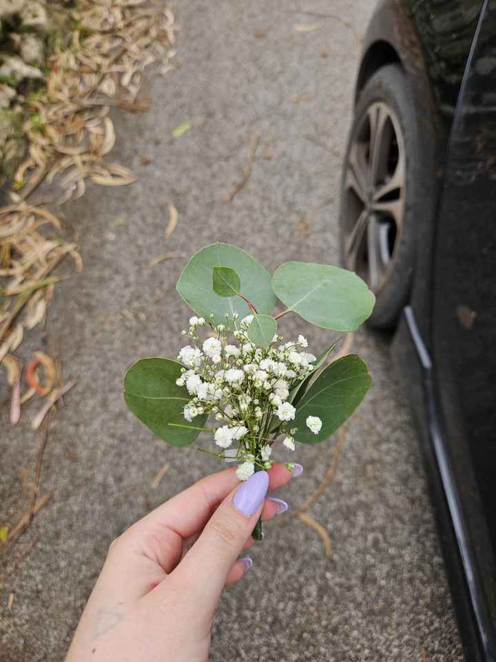 a minha experiência com - Florista Santa Teresinha - 9