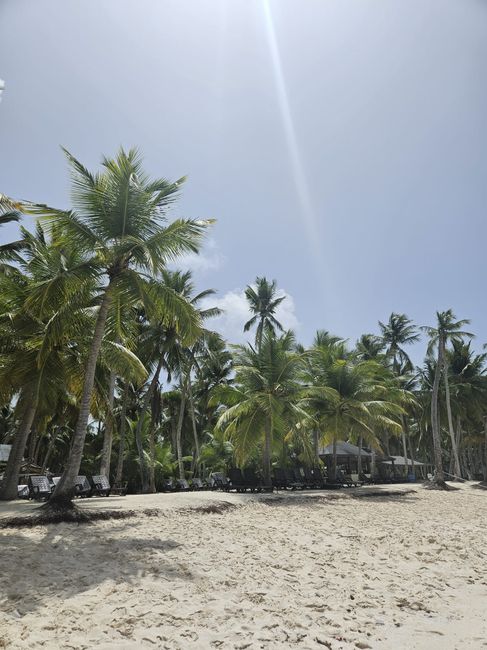 a Nossa Lua de Mel - Punta Cana 33