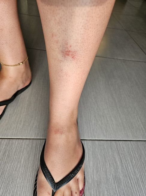 a Nossa Lua de Mel - Punta Cana 41