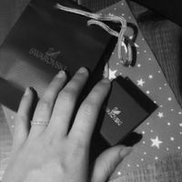O pedido de casamento - 1