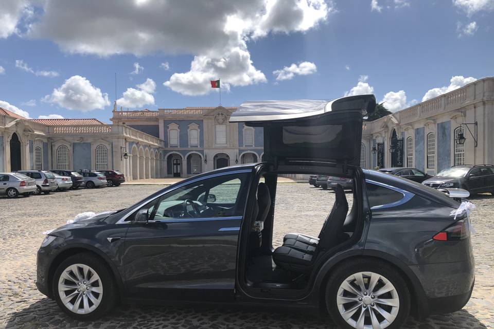 Tesla Portugal Tours