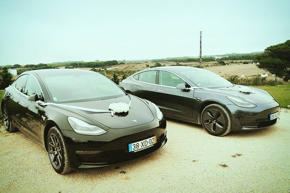 Tesla Portugal Tours