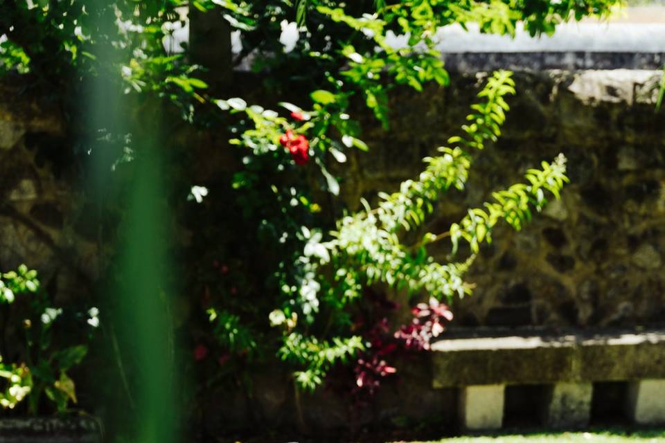 Detalhe Quinta
