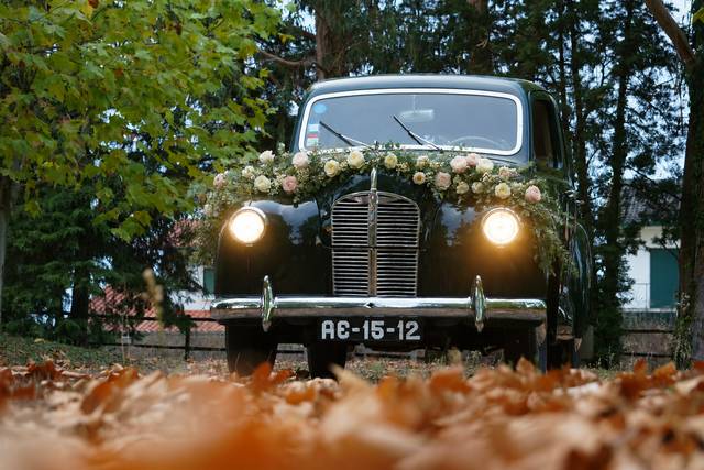 A40 deco