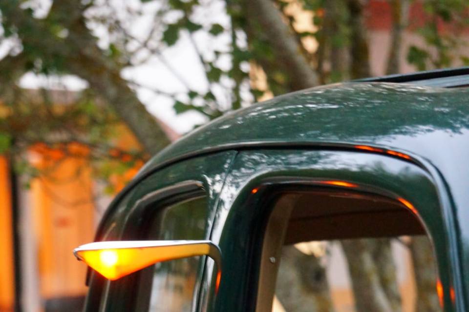Detalhes verde