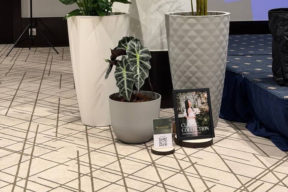 Plants Rental