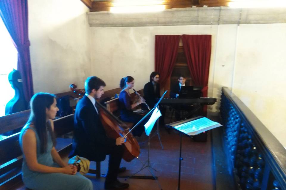 Musicus Ensemble