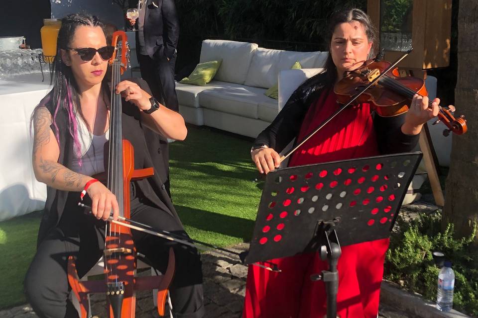 Duo violoncelo e viola