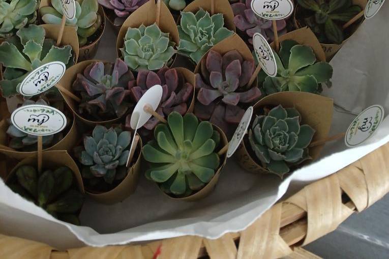 Lembrança de Casamento