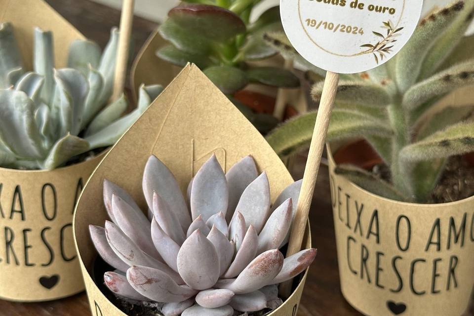 Lembrança de Bodas de Ouro