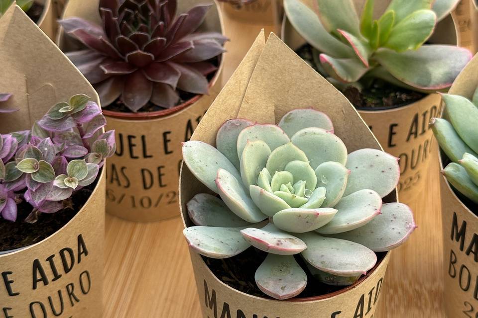 Lembrança de Bodas de Ouro