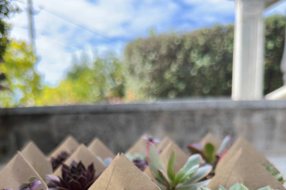 Lembrança de Bodas de Ouro