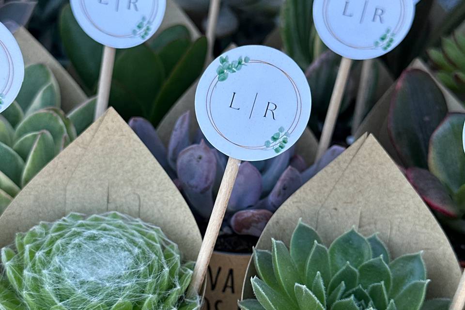 Lembrança de Casamento