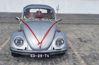 The Love Beetle