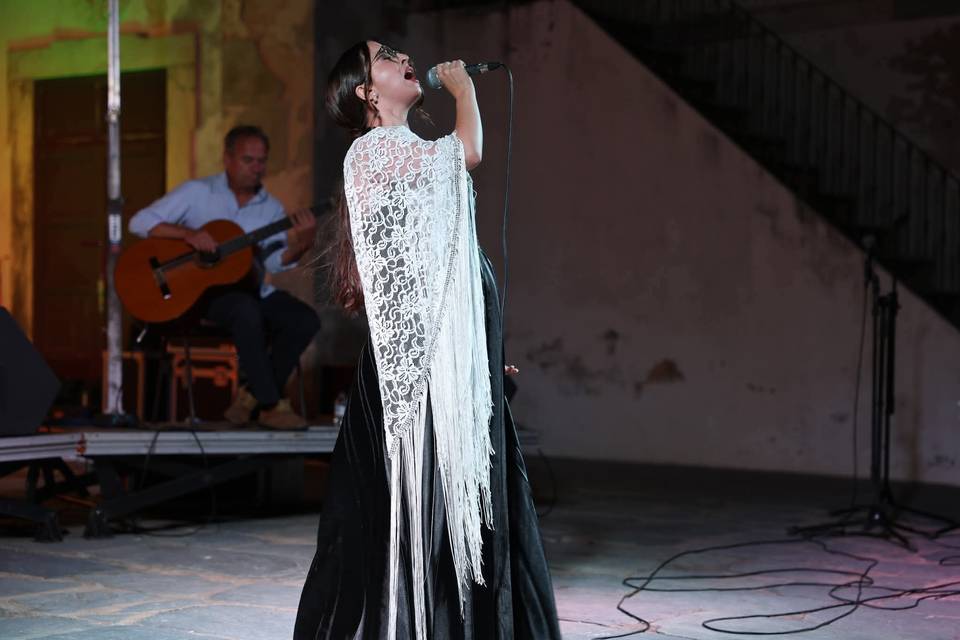 Noite de fado -Avis