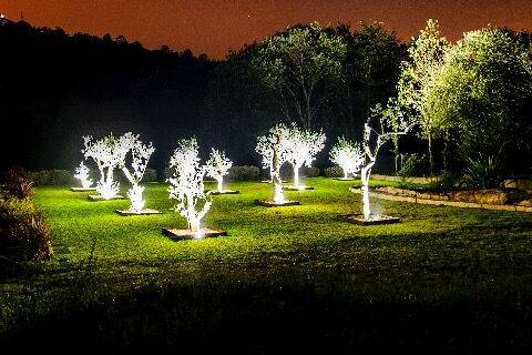 Jardim das oliveiras iluminado