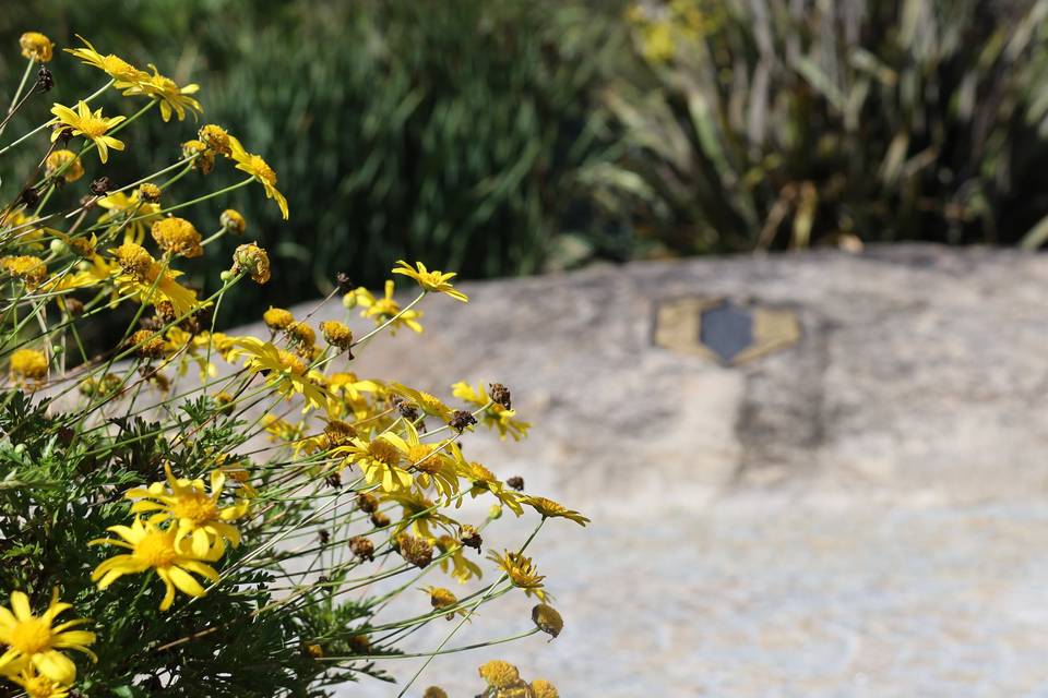 Jardim