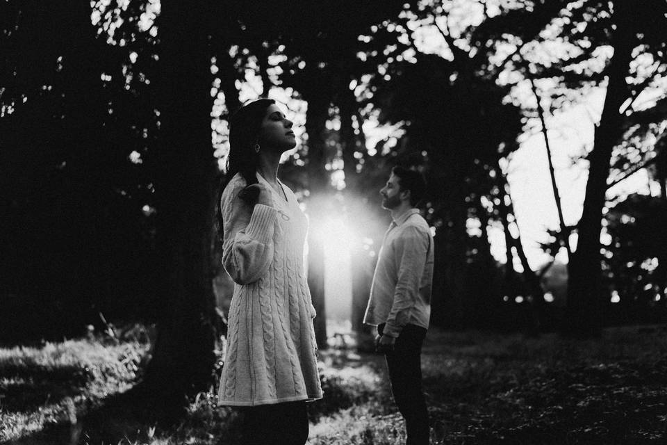 Artístico Pré Wedding