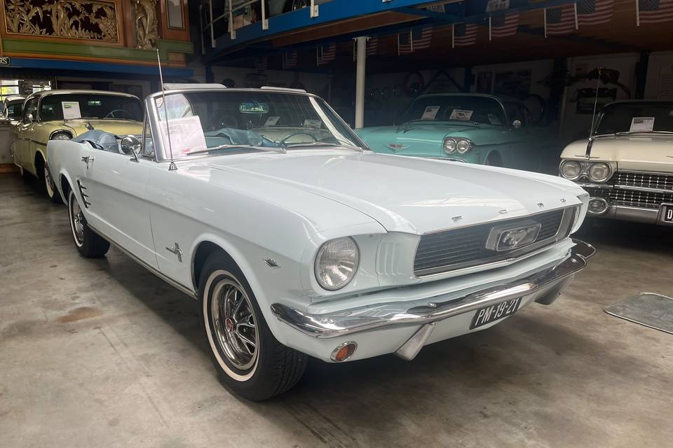 Mustang 289 V8 1966