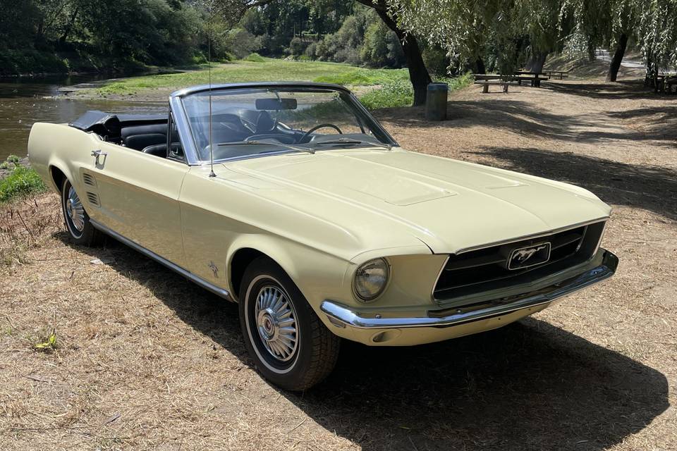 Mustang 1967