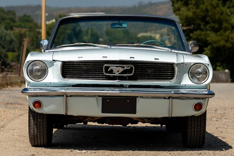 Mustang V8 1966