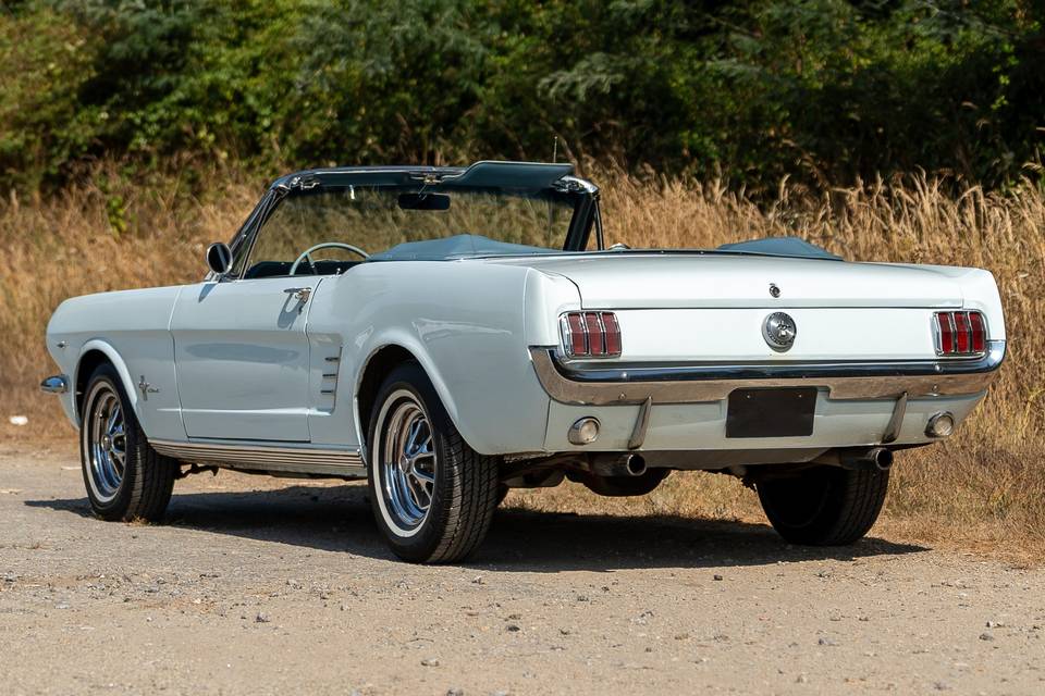 Mustang V8 1966