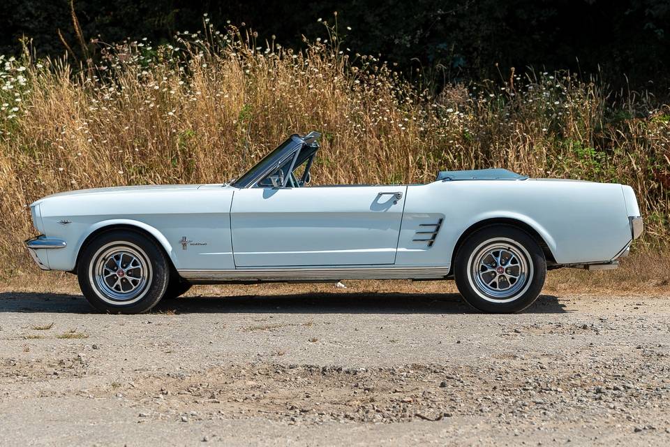 Mustang V8 1966
