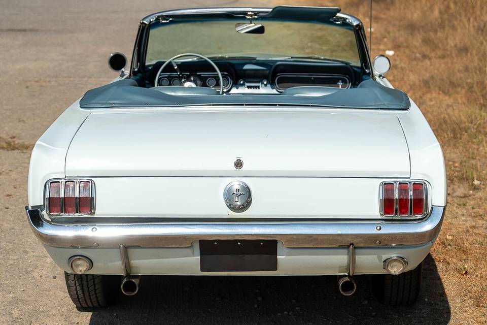 Mustang V8 1966