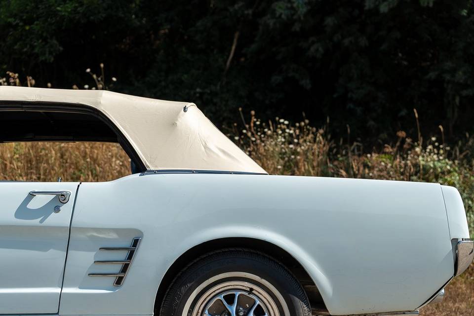 Mustang V8 1966