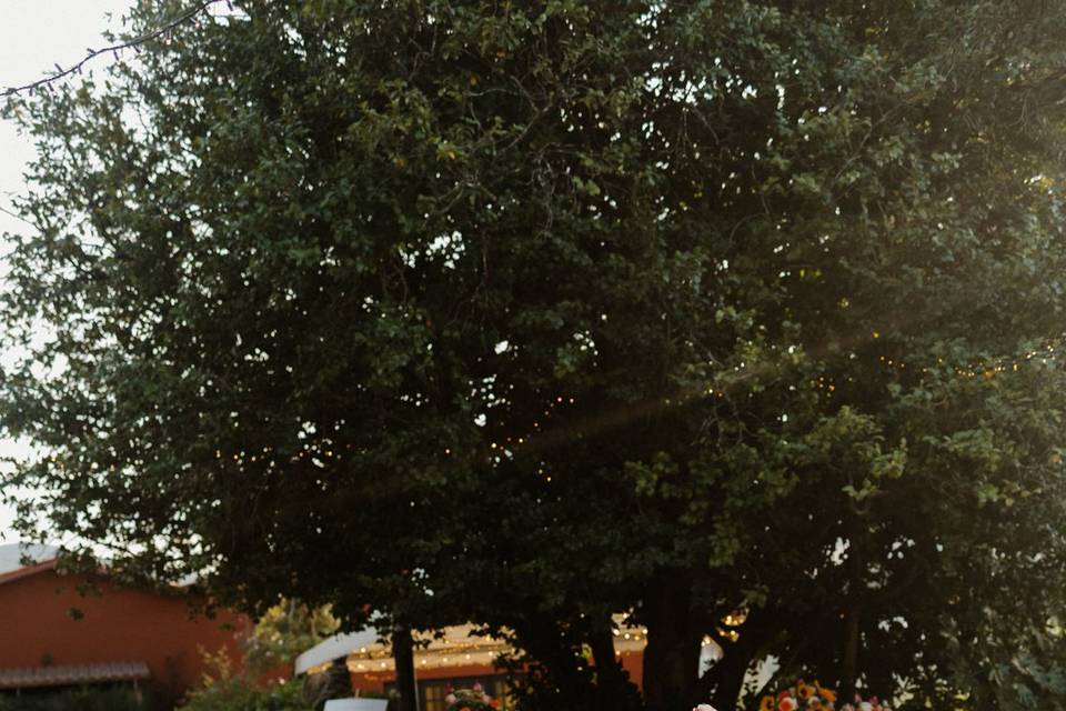 Quinta de Oleiros