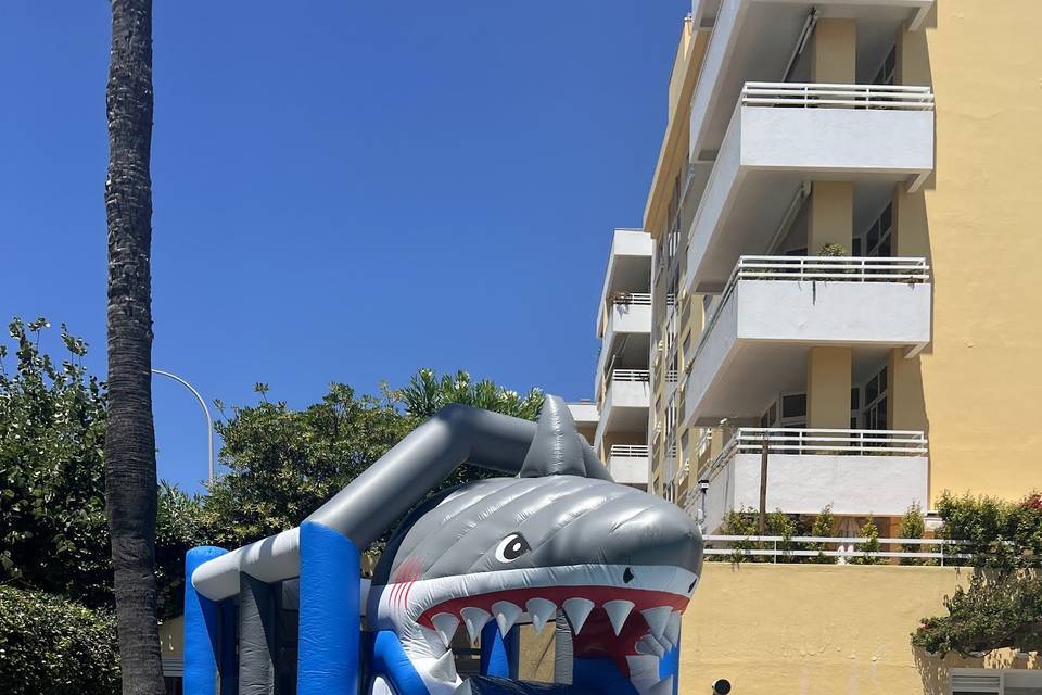 Sorrisos Que Falam Por Si