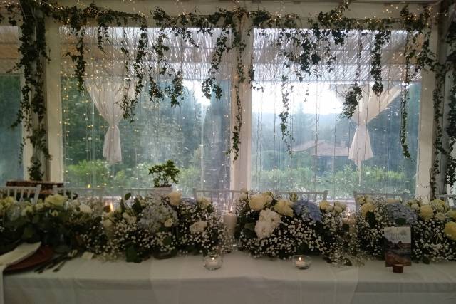 Enquadramento perfeito