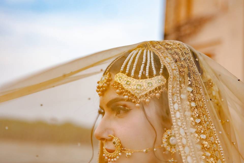 Brides in Veils