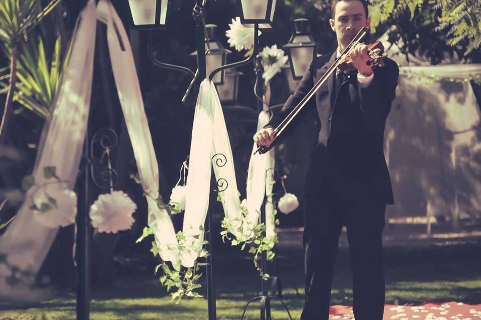 Violino na cerimónia.