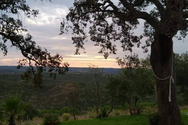 Magic Valley