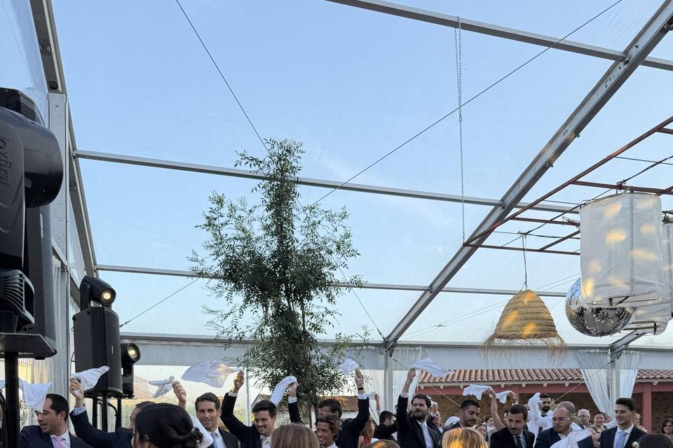 Casamento - Casa da Orta