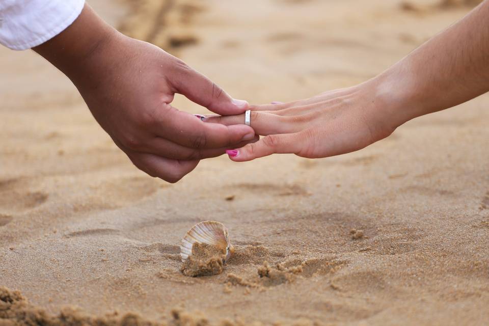 Trash the Dress