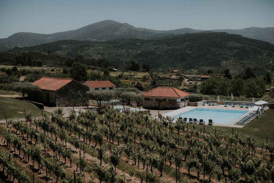 Quinta