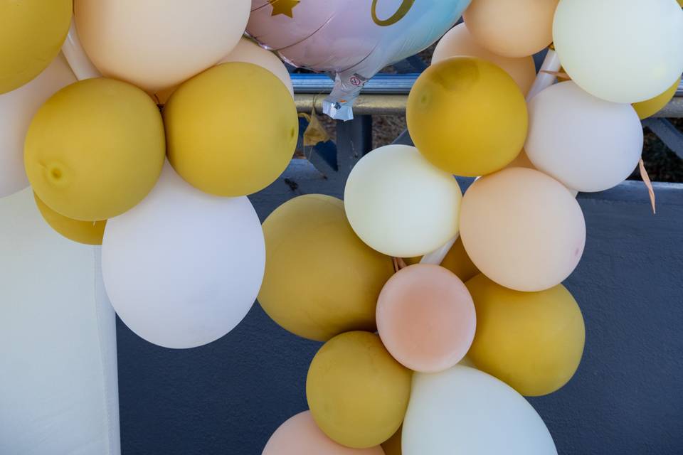Chá de revelação