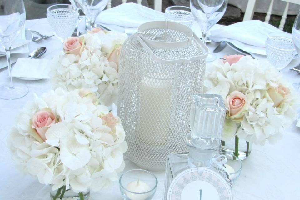White calm decor