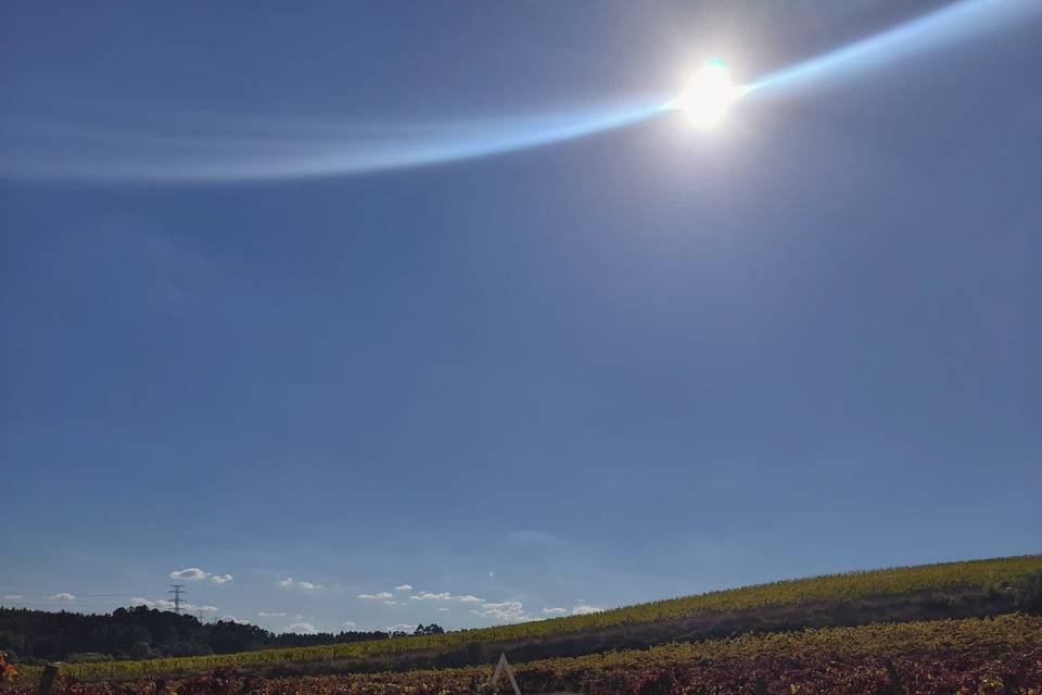 Decoração com Parceiros 2