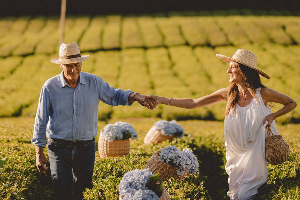 Casamento Campos de Chá Açores