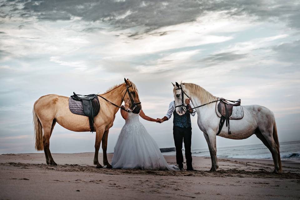 Trash the Dress