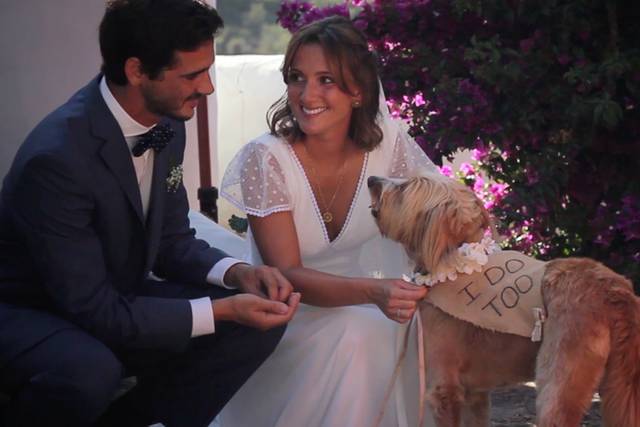 Para Sentir - Vídeos de Casamento