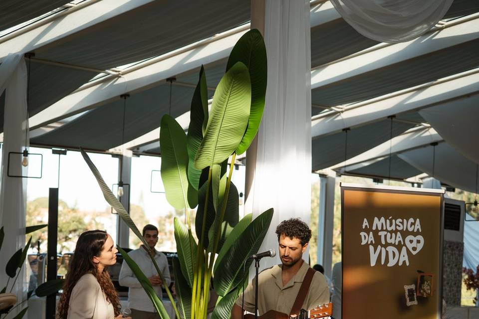 Open day - Quinta do Roseiral